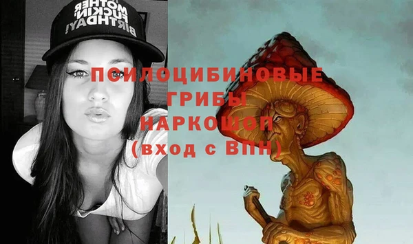 a pvp Абаза