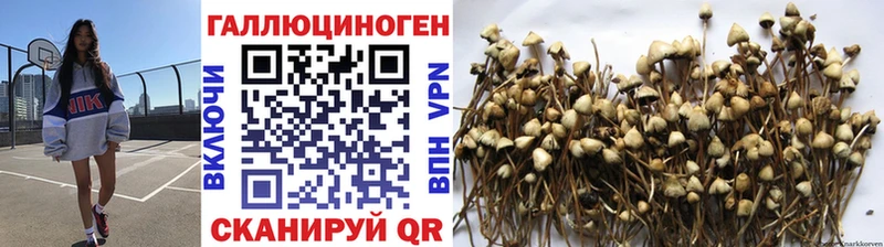 хочу это наркотические препараты Галлюциногенные грибы MAGIC MUSHROOMS Пойковский